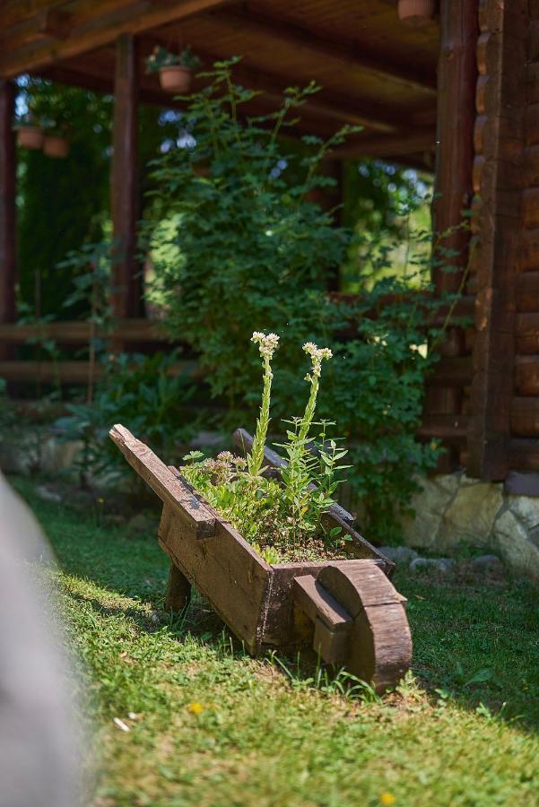 Country House Brijest Kolašin Extérieur photo